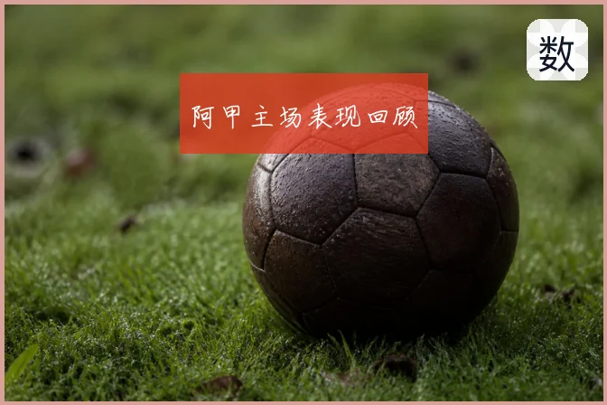 阿甲主场表现回顾
